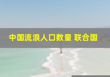 中国流浪人口数量 联合国